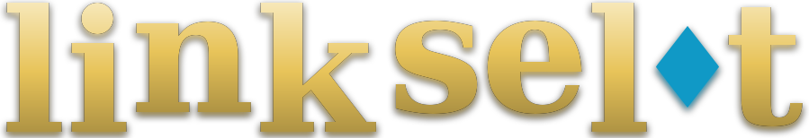 link selot logo